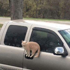 Meet your Posher, Mimi